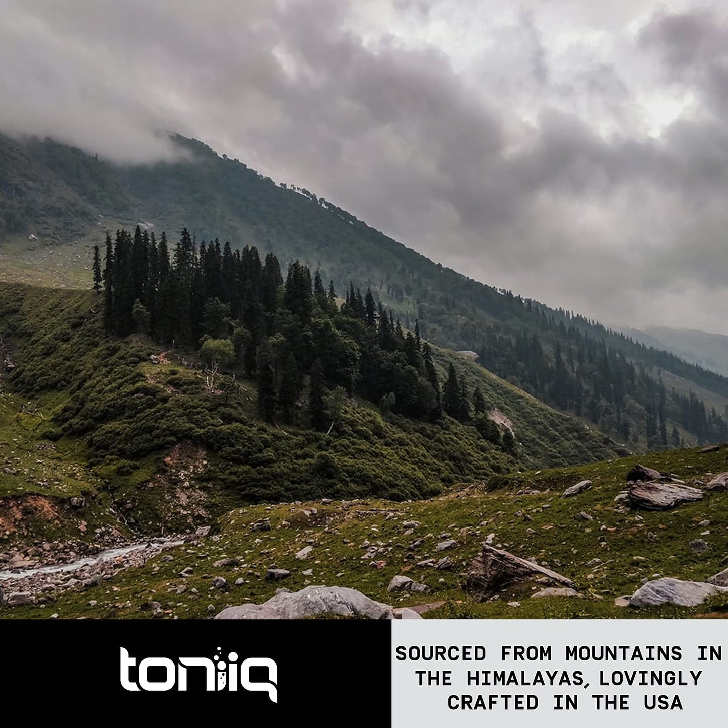 Toniiq Ultra High Strength Berberine HCl 500mg from The Himalayas - Berberine Suppleme ToniiqBuy Supplements Australia