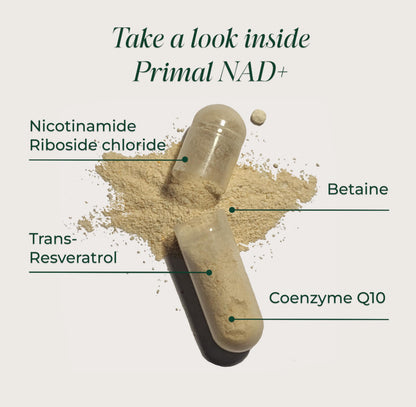 Primal Harvest NAD+ Supplement: Nicotinamide Riboside, Trans-Resveratrol, Betaine, CoQ10, NAD Supplements for Cellular Health, Energy, and Mitochondrial Support Primal HarvestBuy Supplements Australia