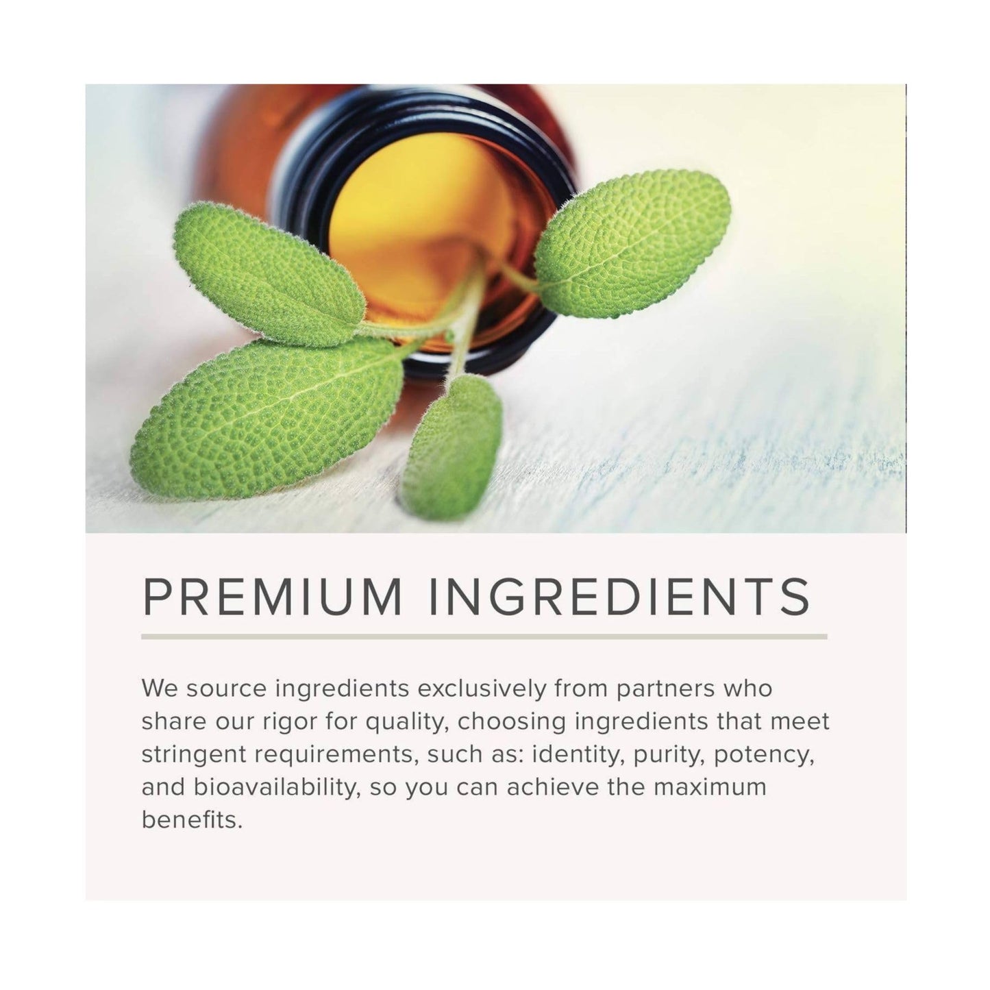 NusaPure Lemon Balm 30:1 Extract, 200 mg Equivalent to 6000mg Per Vegan Caps - 200 Count Non-GMO, Vegan Bioperine NusaPureBuy Supplements Australia