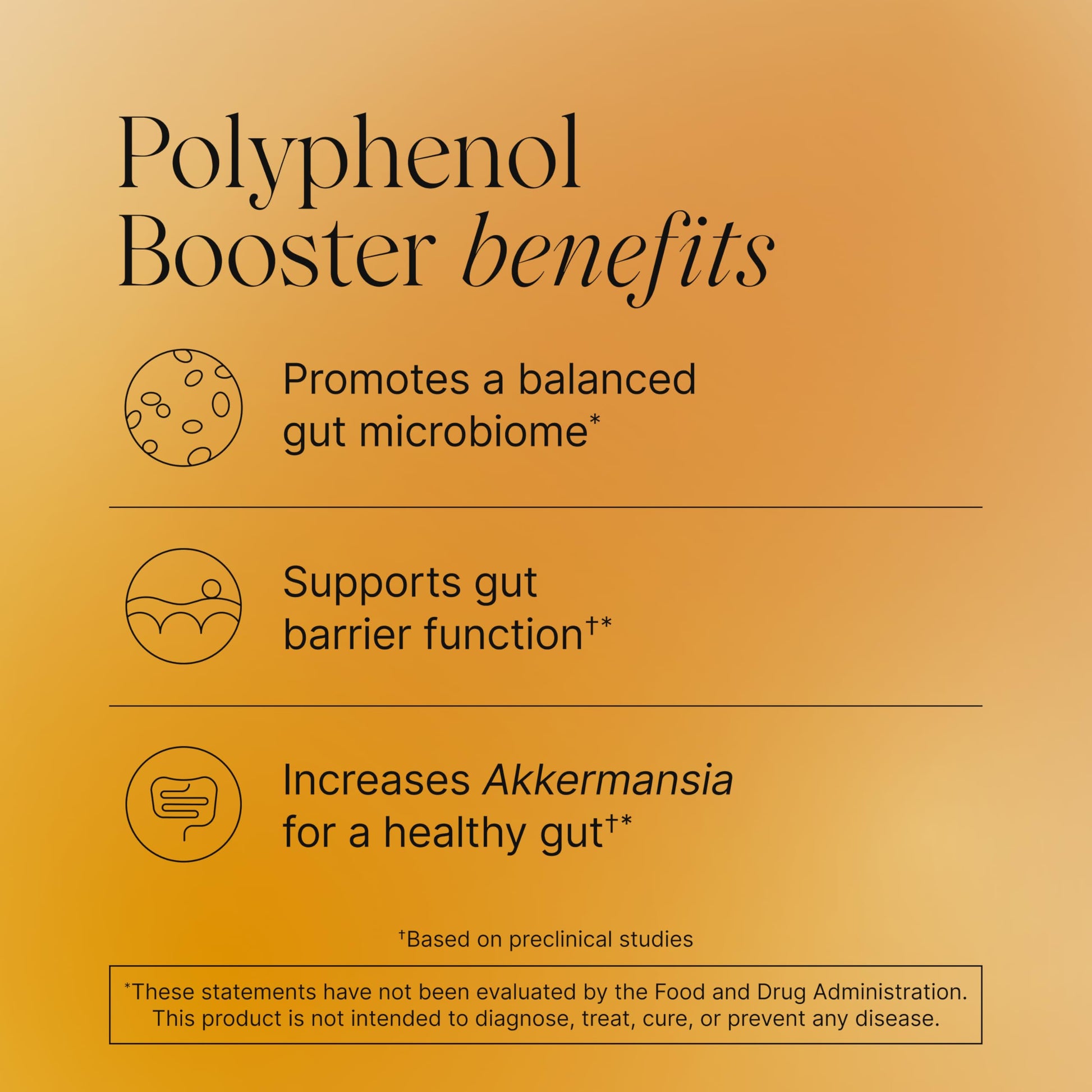 Pendulum Polyphenol Booster, Antioxidant from Superfoods, Beneficial Plant Compounds for Good Health, Helps Boost Akkermansia Muciniphila for Men & Women (60 Capsules, 1-Pack) PendulumBuy Supplements Australia