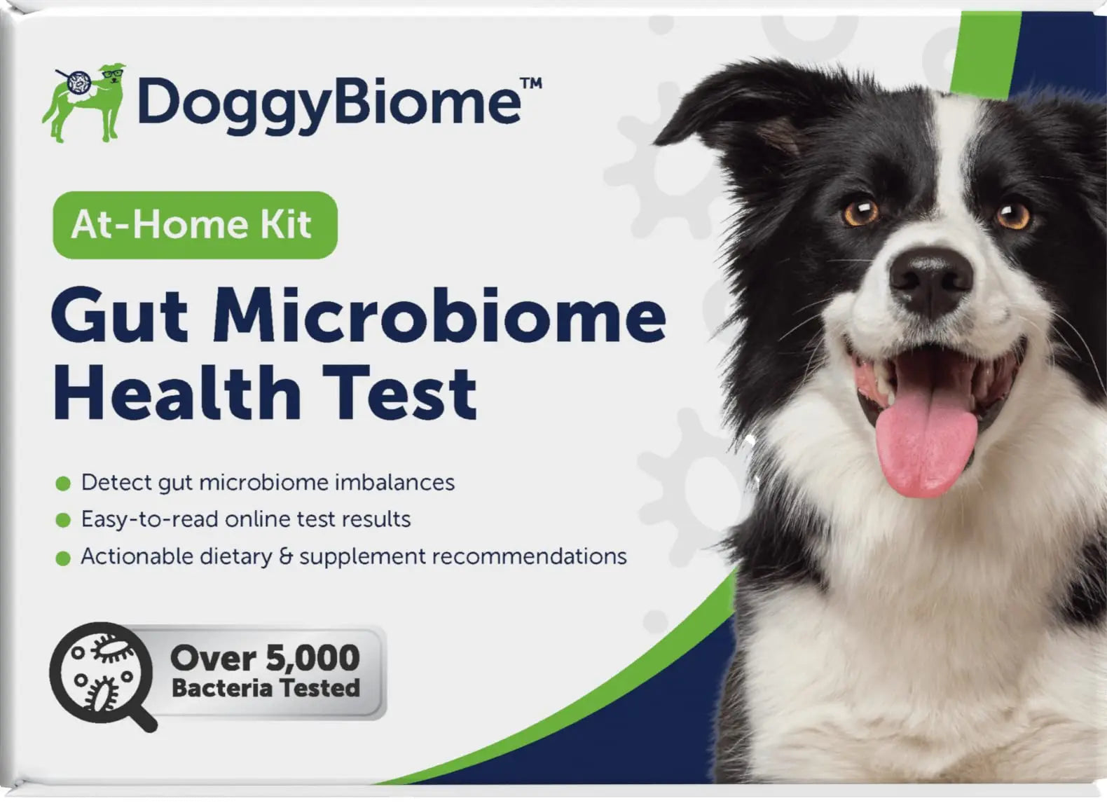 AnimalBiome Dog Gut Health Test – DoggyBiome At Home Stool Testing Kit, Canine Fecal Analysis for Digestive Issues, Diarrhea & Allergy Insights w/Personalized Report & Custom Plan (Dogs Outside US) AnimalBiomeBuy Supplements Australia