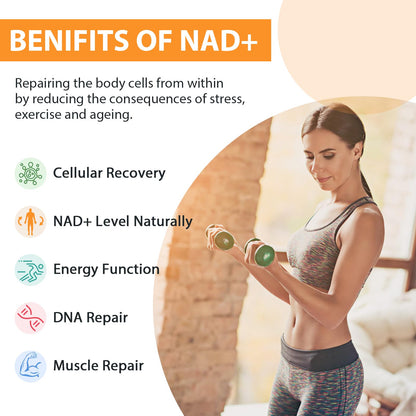 Orgabay Liposomal NAD+ Supplement 500 mg, High Absorption, Boost NAD+ with TMG 250 mg, Actual NAD Plus More Efficient Than Nicotinamide Riboside, Support Cellular Energy, Healthy Aging | 60 Softgels OrgabayBuy Supplements Australia