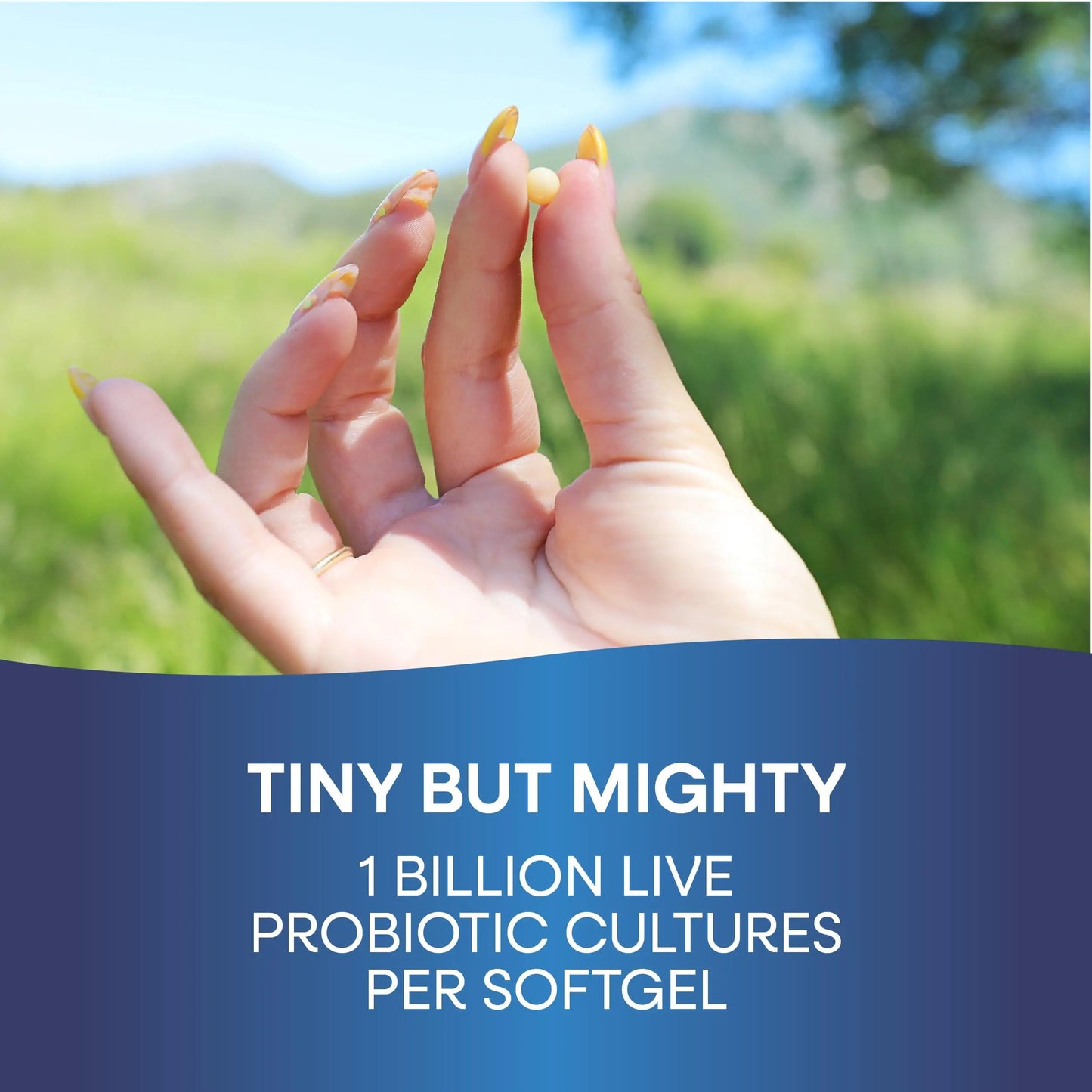 Probiotic Pearls Acidophilus Once Daily Probiotic Supplement, 1 Billion Live Cultures, Survives Stomach Acid, No Refrigeration, 90 Softgels Nature's WayBuy Supplements Australia