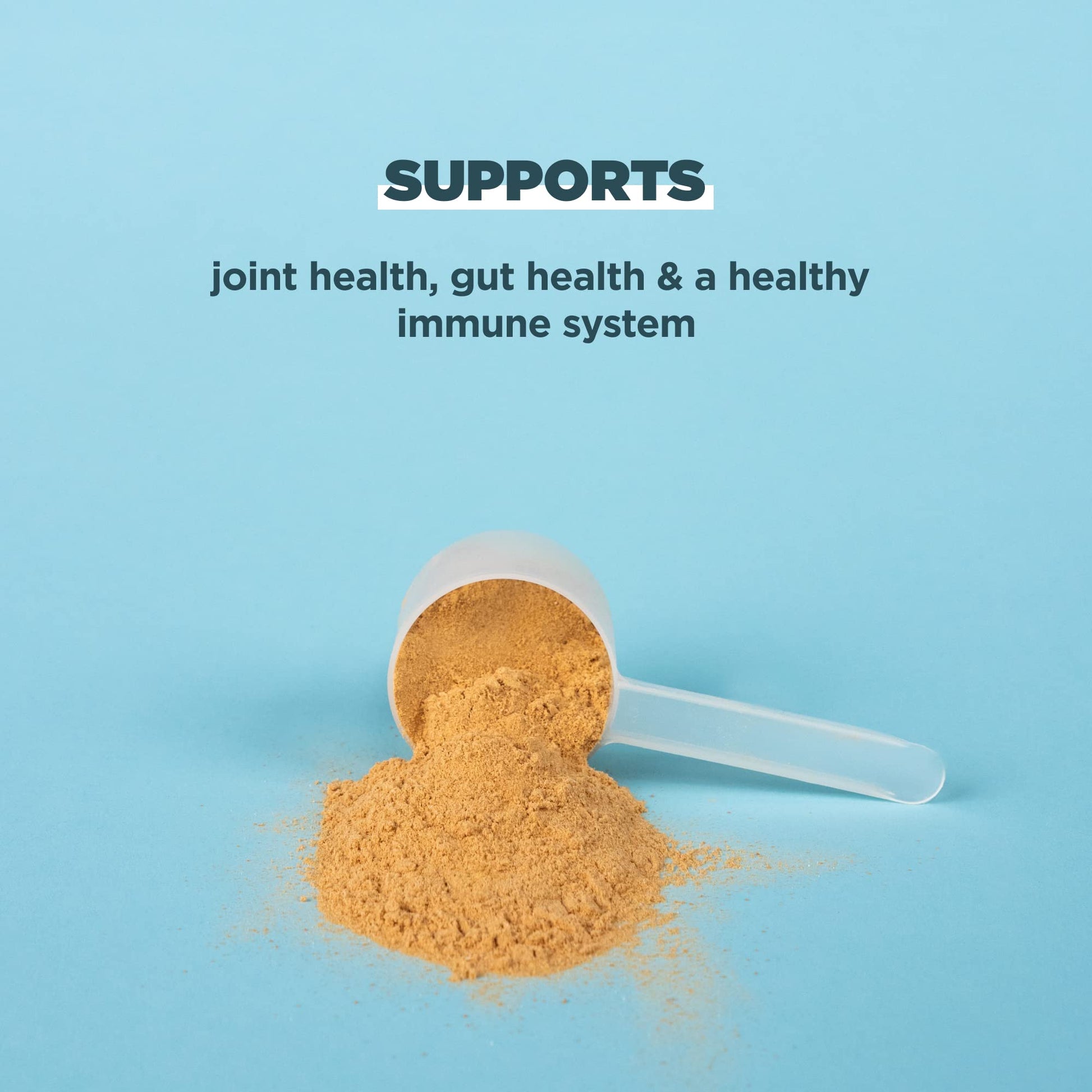Ancient Nutrition Bone Broth Protein Powder, Salted Caramel, 19g Protein per Serving Ancient NutritionBuy Supplements Australia