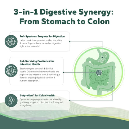 Flora Digest - 3-in-1 Max Strength Digestive Enzymes + Gut Surviving Probiotics & ButyraGen® Postbiotic for Optimal Digestion, Bloating Relief, Regularity, Gut Lining & Colon Support - (30 Capsules) Triquetra HealthBuy Supplements Australia