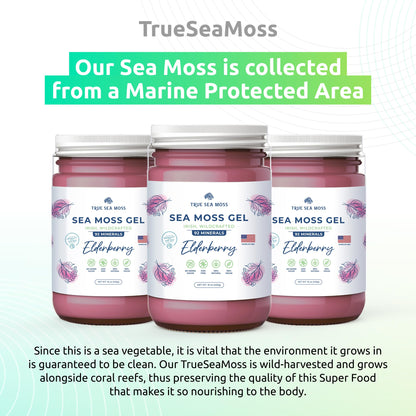TrueSeaMoss Wildcrafted Irish Sea Moss Gel – Nutritious Organic Raw Seamoss Rich TrueSeaMossBuy Supplements Australia