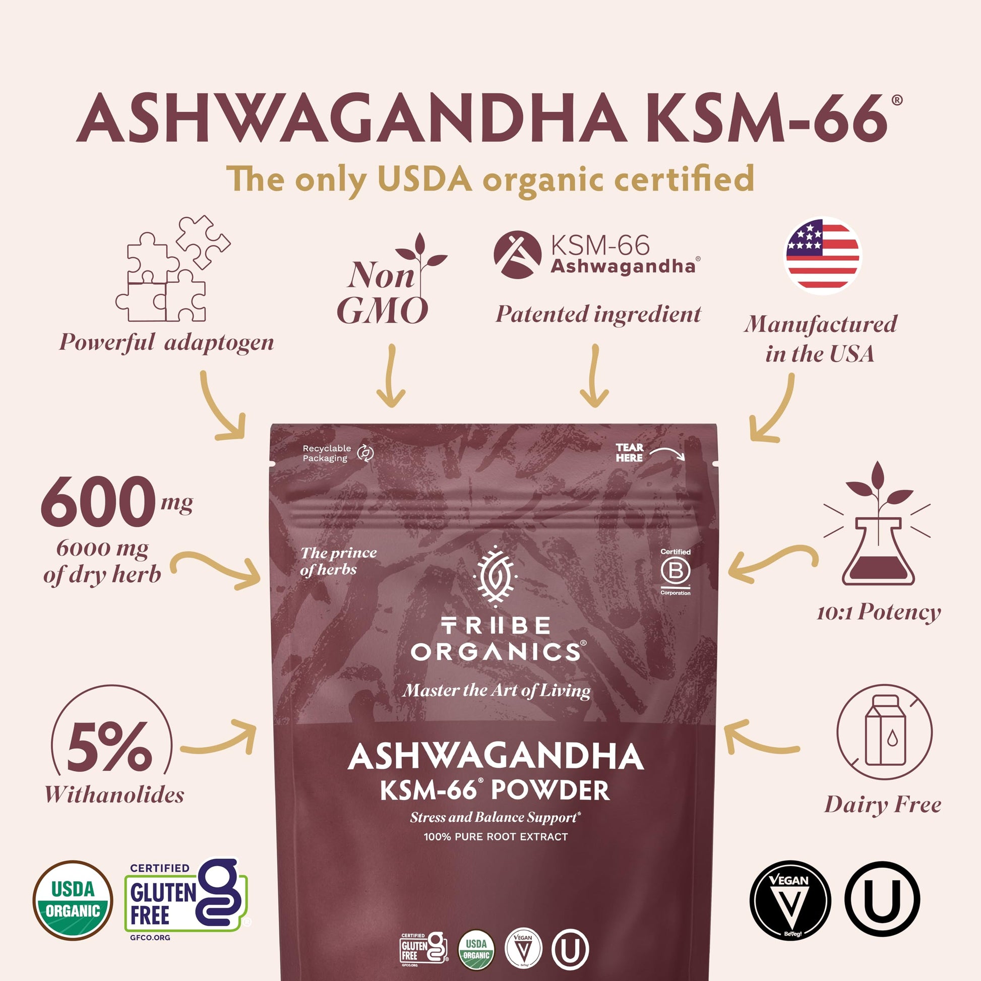 TRIBE ORGANICS KSM-66 Ashwagandha Root Extract Powder Ayurvedic Herb for Mood Support | Increase Energy | Strength - Organic | Natural | Gluten Free | Non GMO | Full-Spectrum - 100g Pouch TRIBE ORGANICSBuy Supplements Australia