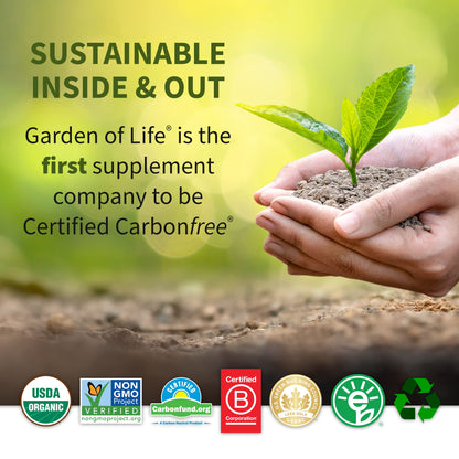 Garden of Life Raw Organic Fit Vegan Protein Powder Chocolate, 28g Plant Based Protein Garden of LifeBuy Supplements Australia