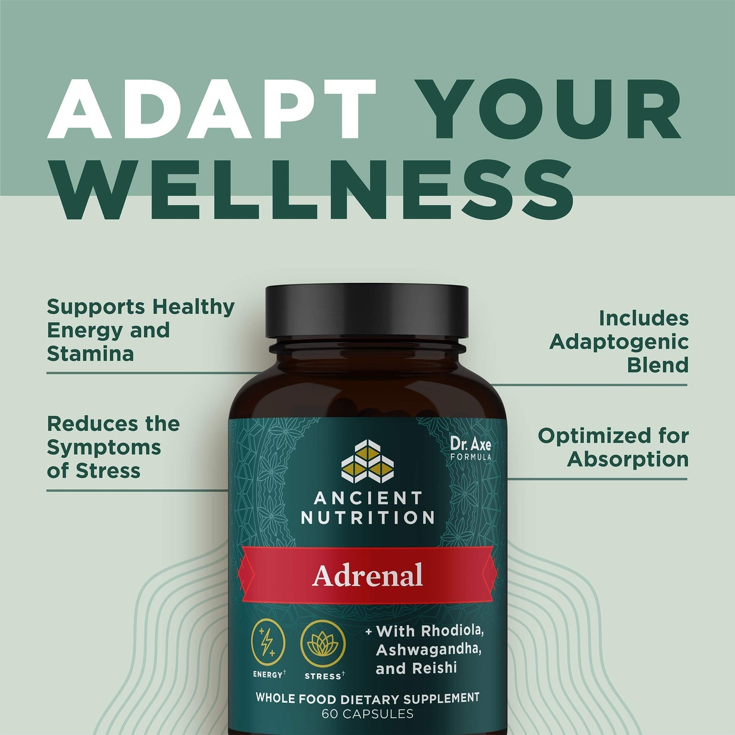 Ancient Nutrition Adrenal Support with Ashwagandha Supplement, Helps Reduce Stress & Fatigue, Paleo and Keto Friendly, Gluten Free, 1300mg, 60 Capsules Ancient NutritionBuy Supplements Australia