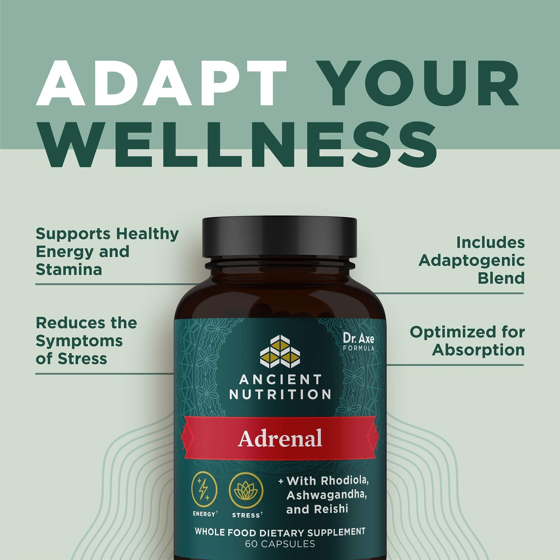 Ancient Nutrition Adrenal Support with Ashwagandha Supplement, Helps Reduce Stress & Fatigue, Paleo and Keto Friendly, Gluten Free, 1300mg, 60 Capsules Ancient NutritionBuy Supplements Australia