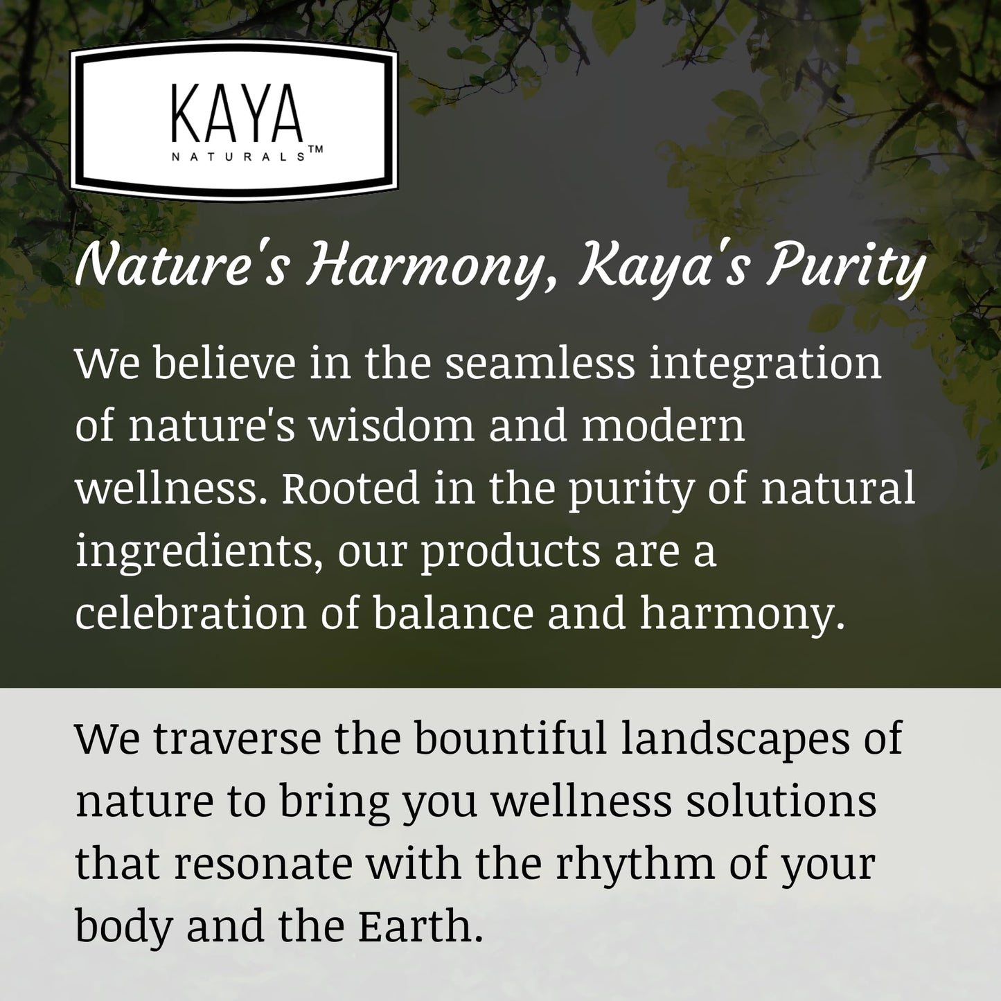 Kaya Naturals Oxy Burn - Weight Loss Pills for Women & Men - Appetite Suppressant Kaya NaturalsBuy Supplements Australia