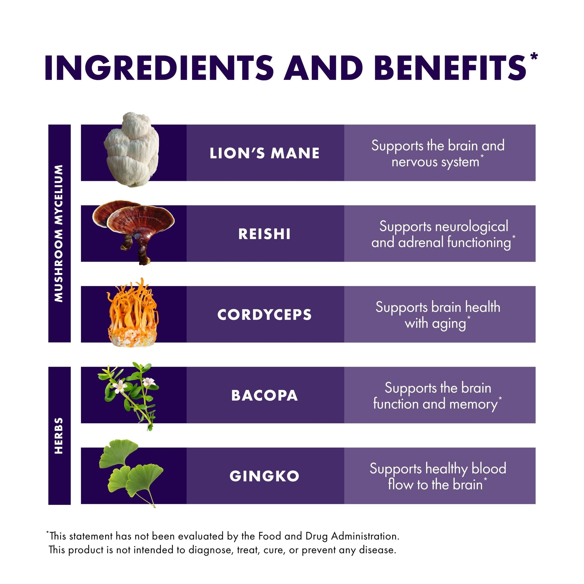 Host Defense MycoBotanicals Brain* Capsules - Brain Support Supplement with Lion's Mane, Reishi & Cordyceps Mushroom - Herbal Supplement for Memory & Focus Support - 60 Capsules Host DefenseBuy Supplements Australia