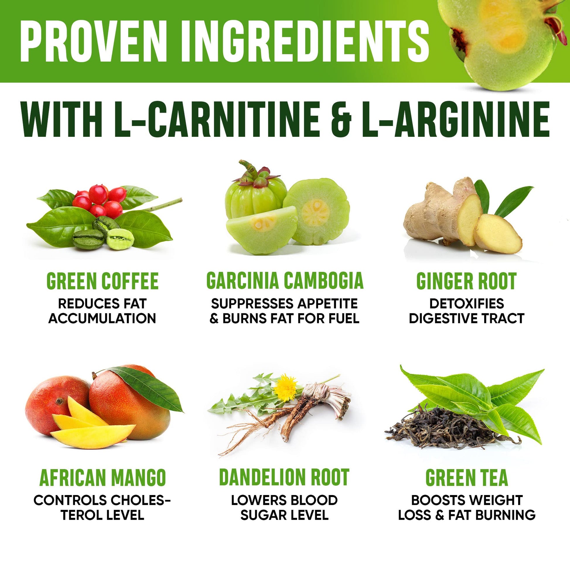 Weight Loss Drops - Appetite Suppressant for Women & Men - Made in the USA - Natural SHAPELINEBuy Supplements Australia