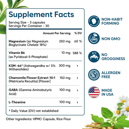 Natural Chelated Magnesium Glycinate Sleep Aid - Melatonin-Free Sleep & Stress Relief with KSM-66 Ashwagandha, GABA, L-Theanine & Chamomile for Muscle Relaxation - Made in USA - 90 Capsules FacimeBuy Supplements Australia