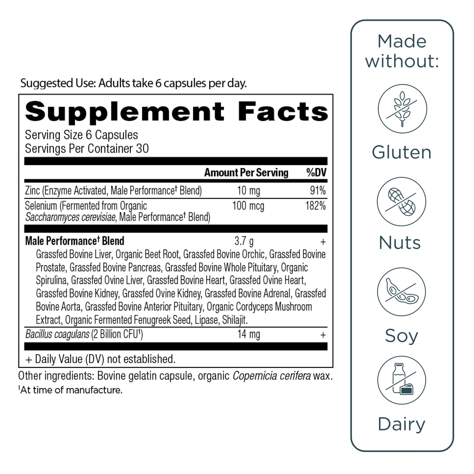 Ancient Nutrition Organ Supplements for Men, Grass-Fed and Wild Organ Complex Capsules, Liver, Prostate, Pancreas Supports Male Performance, Healthy Aging, 180 Ct Ancient NutritionBuy Supplements Australia