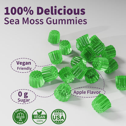 Sea Moss Supplement 5000mg, Sugar Free Sea Moss Gummies, Irish Sea Moss EnvyDealBuy Supplements Australia
