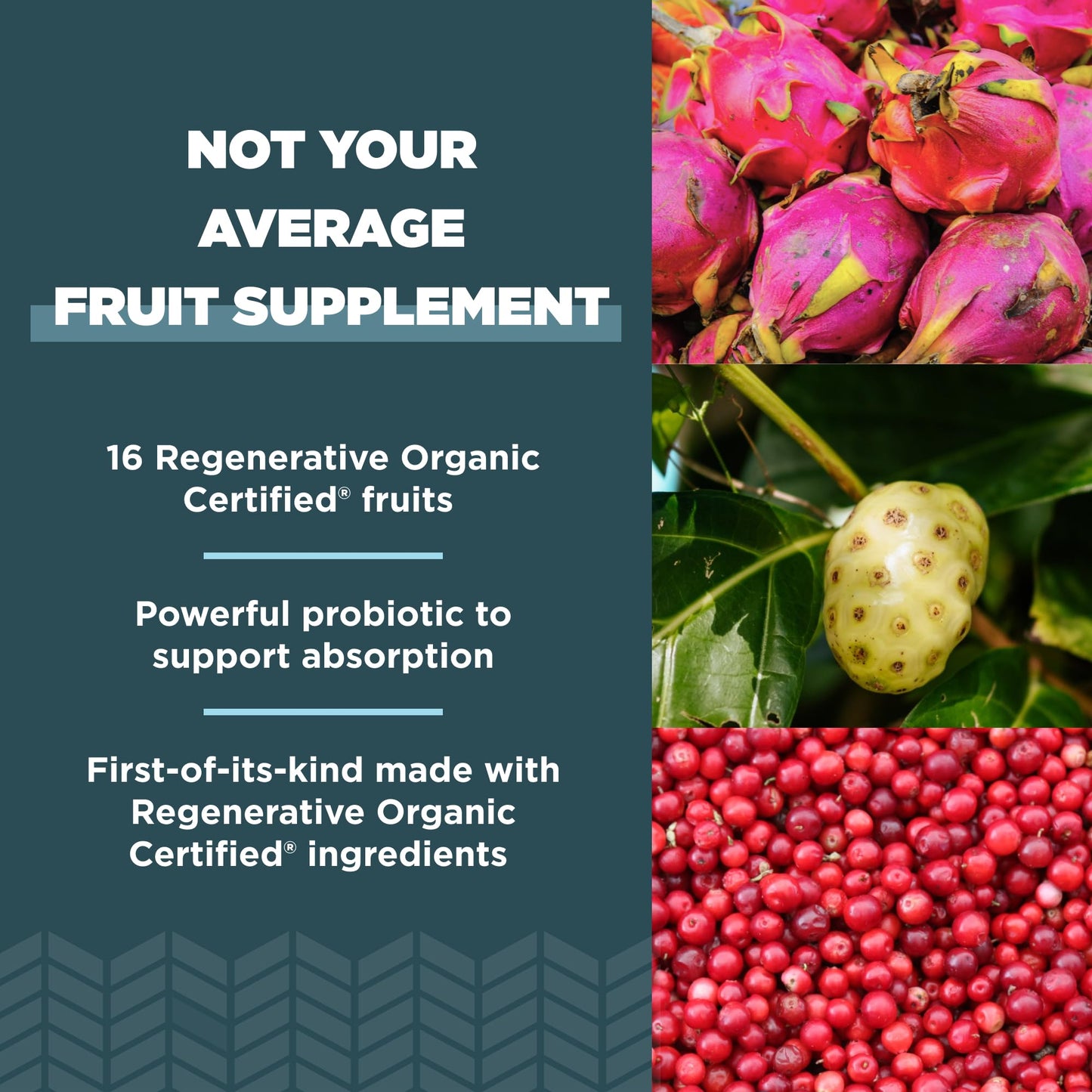 Ancient Nutrition Regenerative Organic Certified SuperFruits Capsules, Supports Gut and Immune System Health, Made with Probiotics, Dragonfruit, Mulberry, and Goji, 60 Count Ancient NutritionBuy Supplements Australia