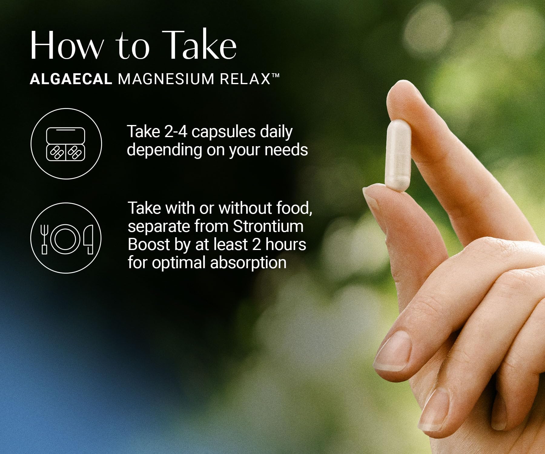 AlgaeCal Magnesium Relax™ - Chelated Magnesium with Ashwagandha for Sleep & Occasional Anxiety - Glycinate, Malate, Citrate - Sleep, Mood, & Cortisol Support (60 Caps - 1 Month Supply) ALGAECALBuy Supplements Australia