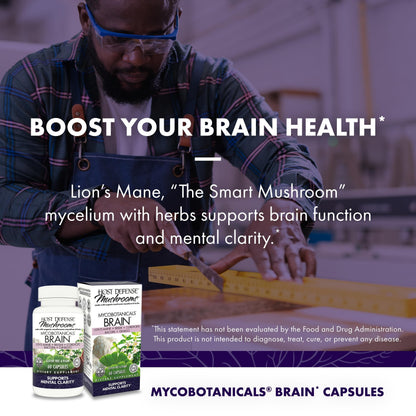 Host Defense MycoBotanicals Brain* Capsules - Brain Support Supplement with Lion's Mane, Reishi & Cordyceps Mushroom - Herbal Supplement for Memory & Focus Support - 60 Capsules Host DefenseBuy Supplements Australia