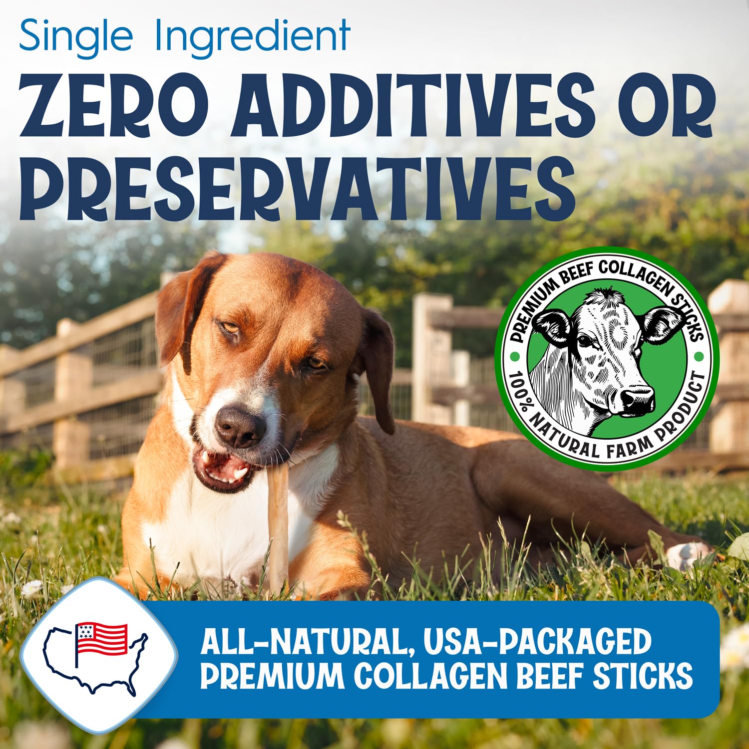 FETCHERONI 6" Collagen Sticks for Dogs – Low Odor Long-Lasting Bully Stick & Rawhide Alternative, Single Ingredient Beef Bone, High Protein Dental Treat, Vet Approved, Improves Joint Health – 20 Pack FETCHERONIBuy Supplements Australia