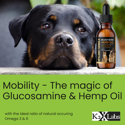 Busters Hip and Joint Hemp Oil Formula enriched with Glucosamine, Pain Relief for Dogs and Pets, Arthritis, and Advanced Mobility Support K2xLabsBuy Supplements Australia