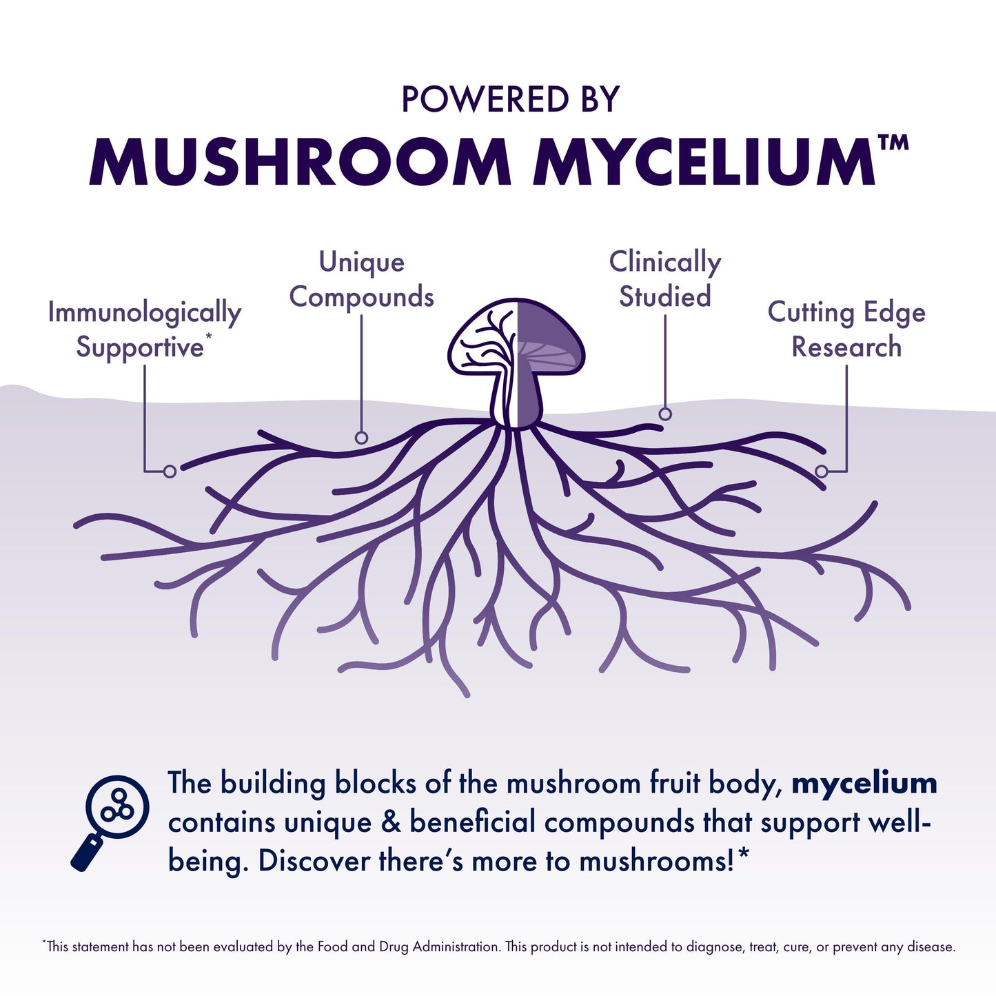 Host Defense MycoBotanicals Brain* Capsules - Brain Support Supplement with Lion's Mane, Reishi & Cordyceps Mushroom - Herbal Supplement for Memory & Focus Support - 60 Capsules Host DefenseBuy Supplements Australia