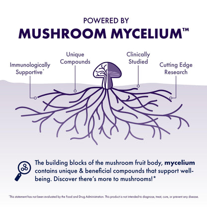 Host Defense MycoBotanicals Brain* Capsules - Brain Support Supplement with Lion's Mane, Reishi & Cordyceps Mushroom - Herbal Supplement for Memory & Focus Support - 60 Capsules Host DefenseBuy Supplements Australia