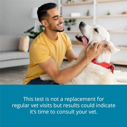 Petivity At-Home Kidney Health Test Kit for Dogs — Quick Saliva Urea Test (2-Minute Home Check), Powered by Purina — Help Detect Early Kidney Changes - (Pack of 3) petivityBuy Supplements Australia