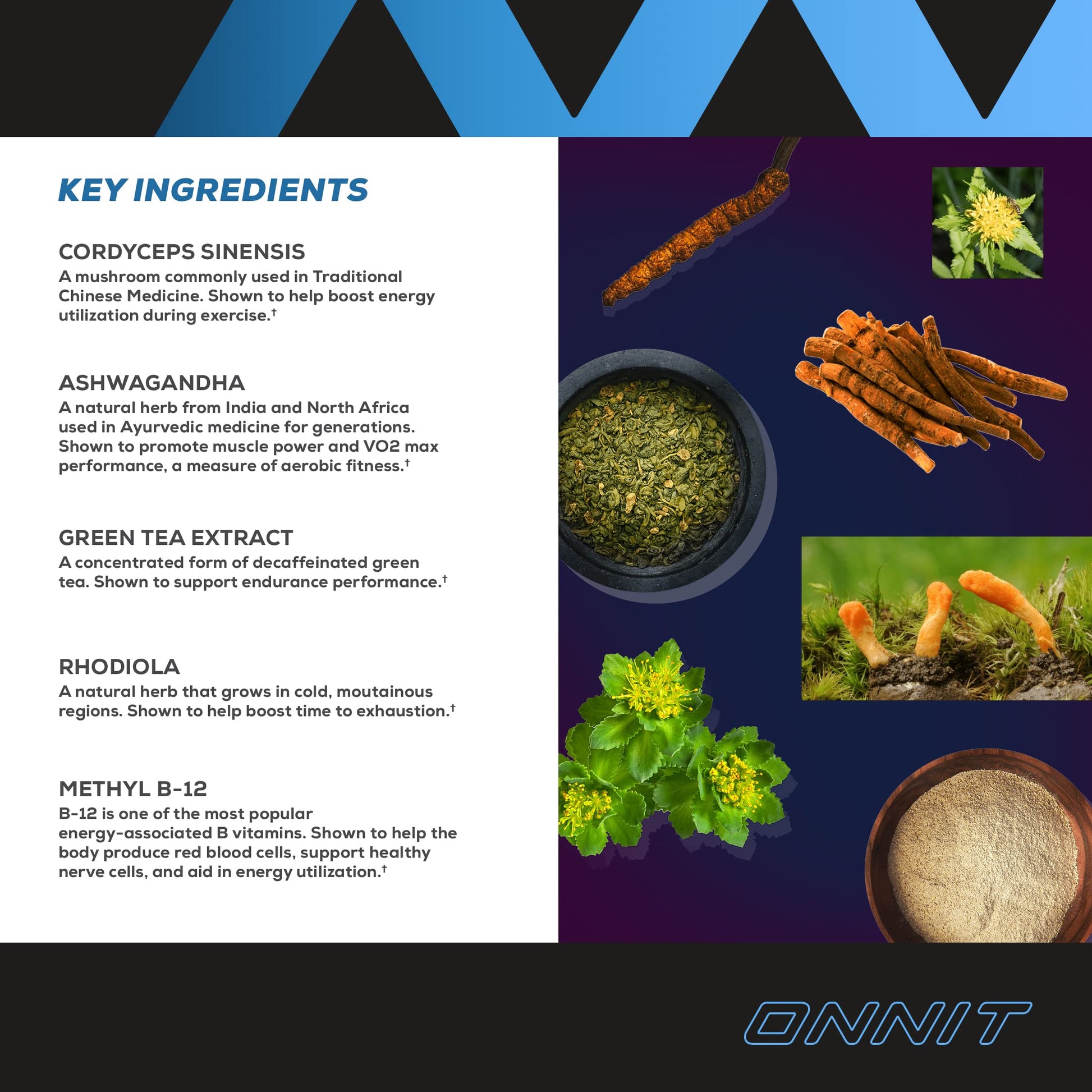 Onnit Shroom TECH Sport (84ct) | All Natural Pre-Workout Supplement with Ashwagandha ONNITBuy Supplements Australia