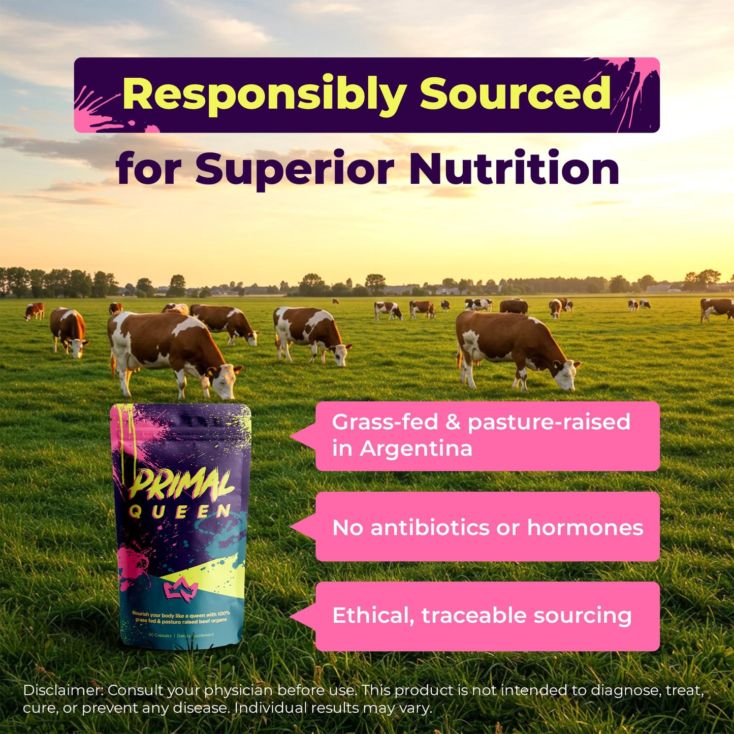 Primal Queen Female-Optimized Beef Organ Superfood Supplement (Beef Liver, Kidney, Heart, & 3 More) - 100% Grass Fed, Pasture Raised - 3rd Party & Clinically Tested Primal QueenBuy Supplements Australia