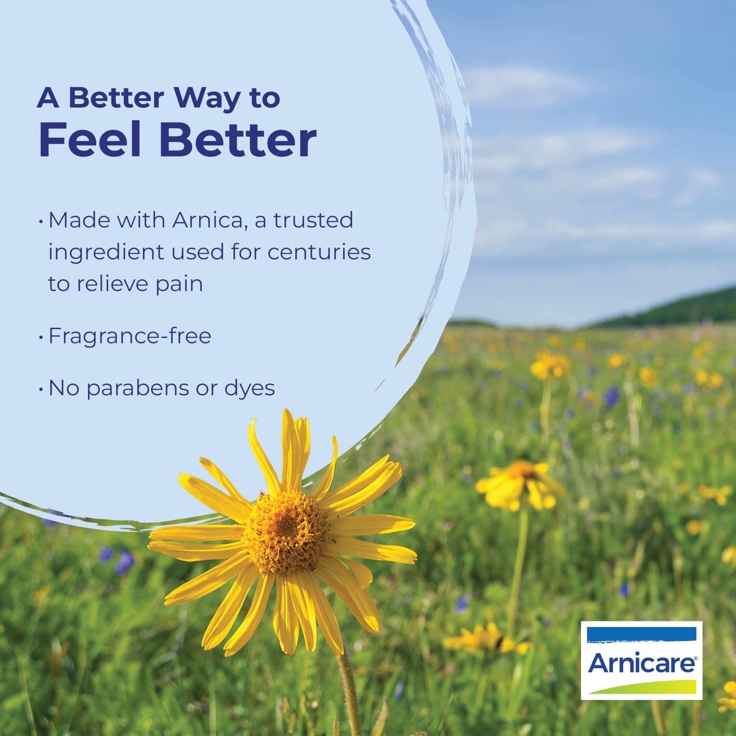 Boiron Arnicare Cream for Relief for Joint Pain, Muscle Pain, Muscle Soreness, and Swelling from Bruises or Injury - Fast Absorbing and Fragrance-Free - 1.3 oz BoironBuy Supplements Australia