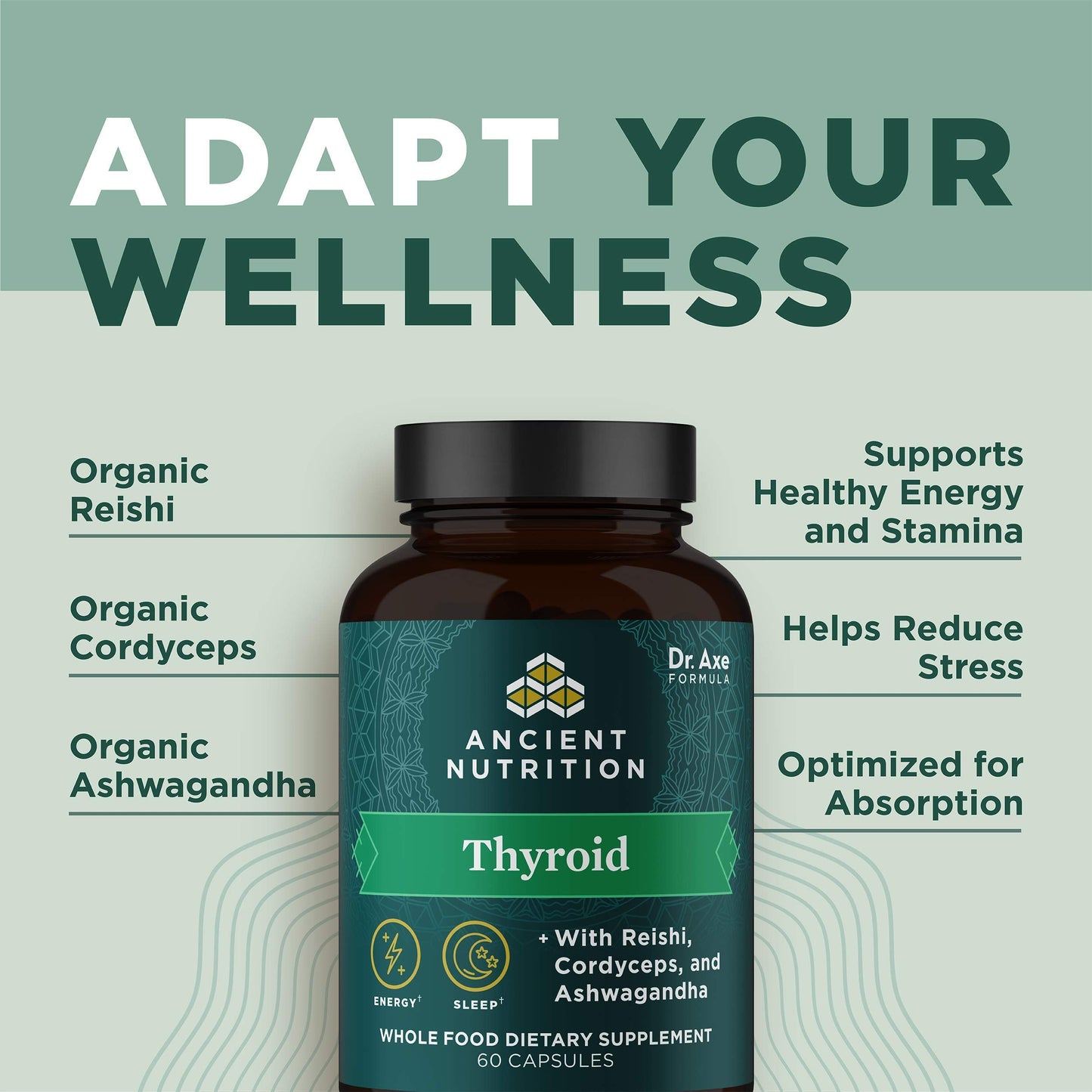 Ancient Nutrition Thyroid Support Supplement with Ashwaghanda, Thyroid Capsules Ancient NutritionBuy Supplements Australia