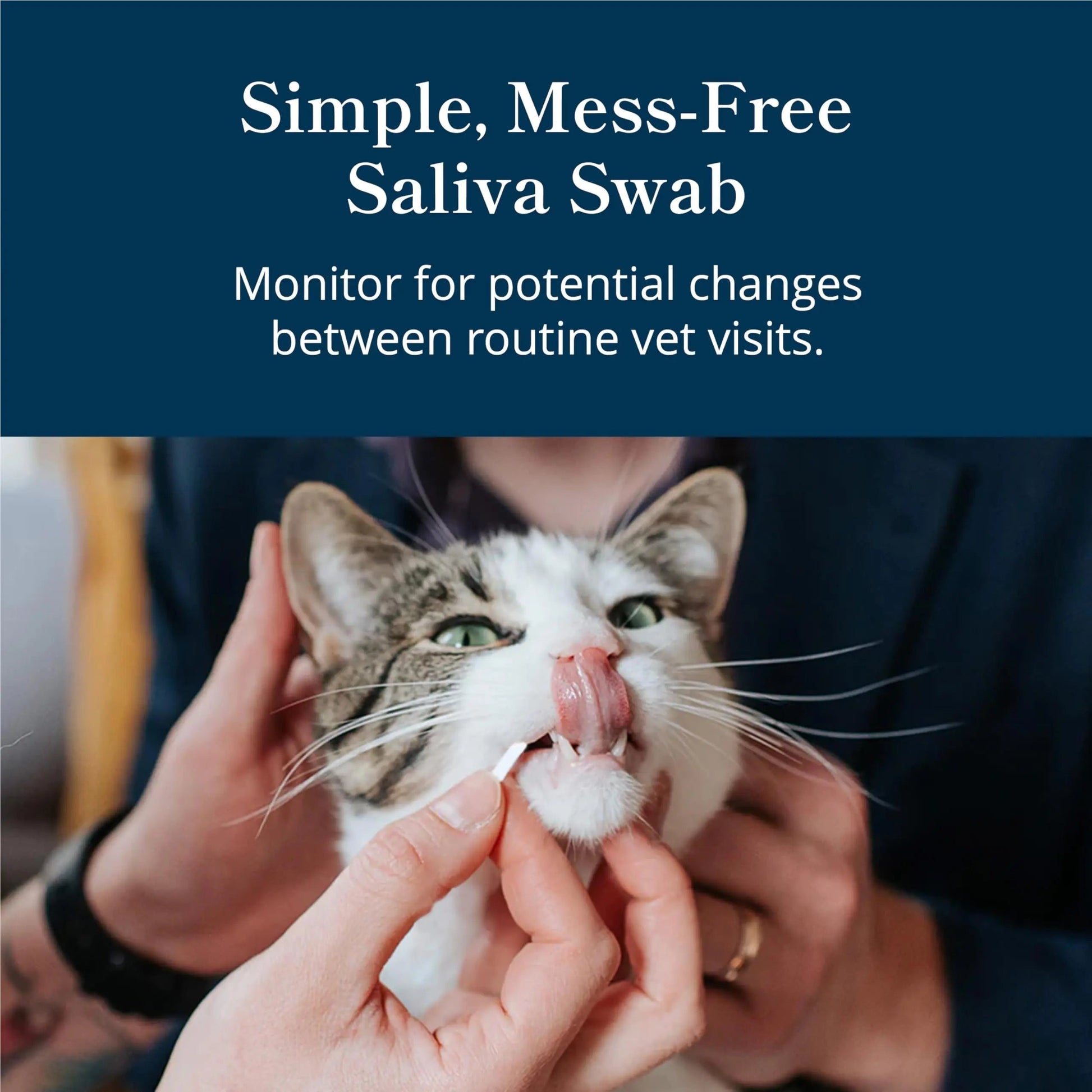 Petivity At-Home Oral Health Test for Cats & Dogs — 10-Second Dental Check Kit by Purina — Simple Saliva Swab to Detect Bad Breath & Gum Issues - (Pack of 1) petivityBuy Supplements Australia