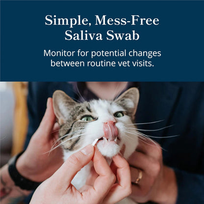 Petivity At-Home Oral Health Test for Cats & Dogs — 10-Second Dental Check Kit by Purina — Simple Saliva Swab to Detect Bad Breath & Gum Issues - (Pack of 1) petivityBuy Supplements Australia