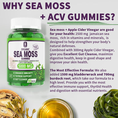 Sea Moss Supplement 5000mg, Sugar Free Sea Moss Gummies, Irish Sea Moss EnvyDealBuy Supplements Australia