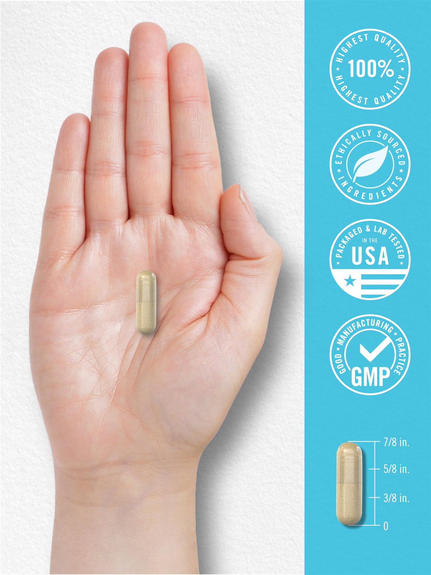 Carlyle NAD+ Supplement 1000 mg | 60 Capsules | with Resveratrol and Collagen | Advanced Complex for Women and Men | Non-GMO & Gluten Free CarlyleBuy Supplements Australia