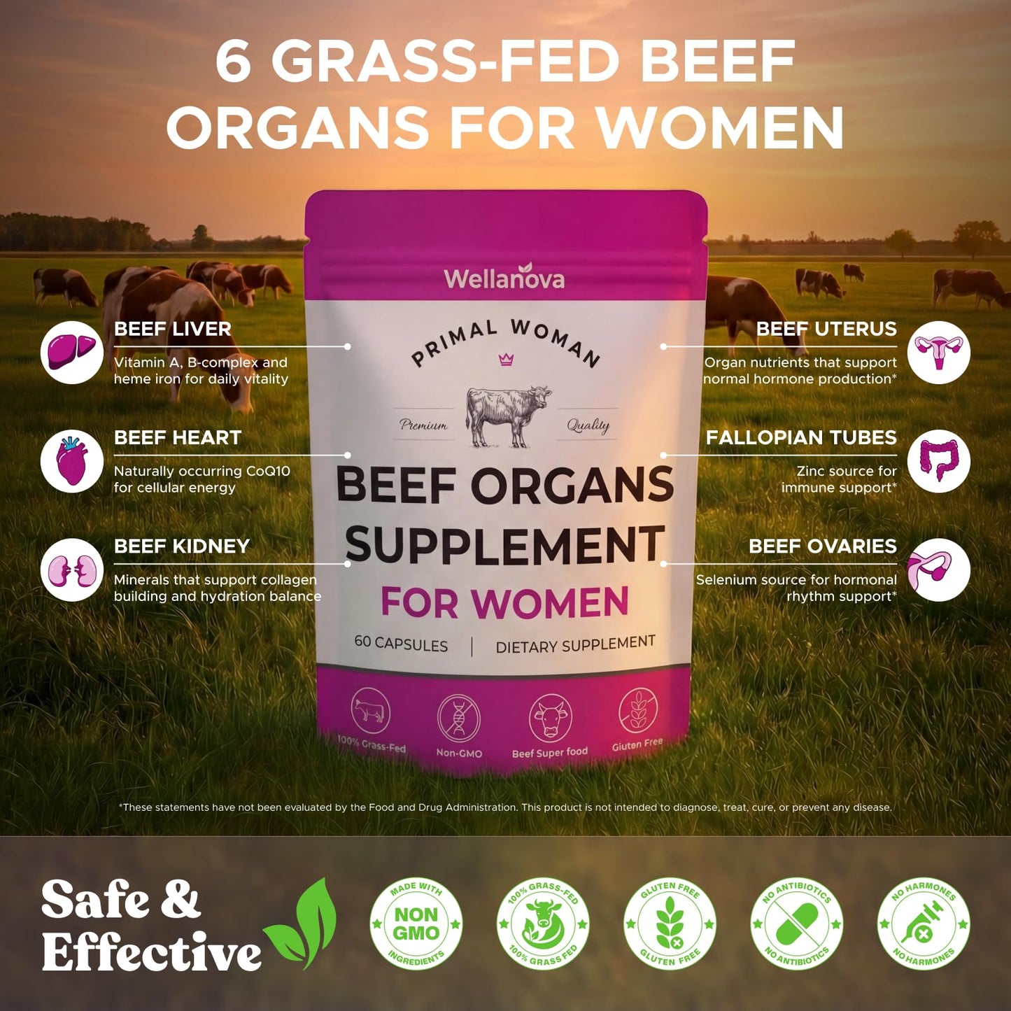 Primal Beef Organ Supplement for Women, Grass-Fed Ancestral Superfood Supplement with Uterus & Liver for Hormone Balance & Queen Energy - 60 Day Supply WellanovaBuy Supplements Australia