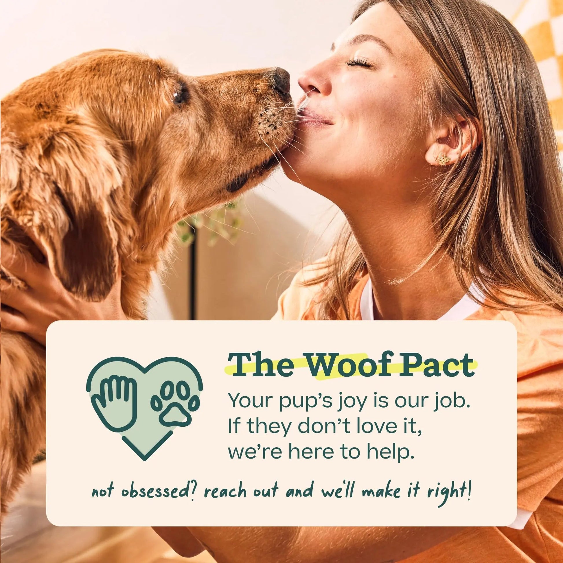 Woof Doggy Dental Pupsicle Mix - Dog Teeth Cleaning Powder for The Pupsicle - Long Lasting Postbiotic Dental Enzyme Mix to Support Oral Health for Dogs WOOFBuy Supplements Australia