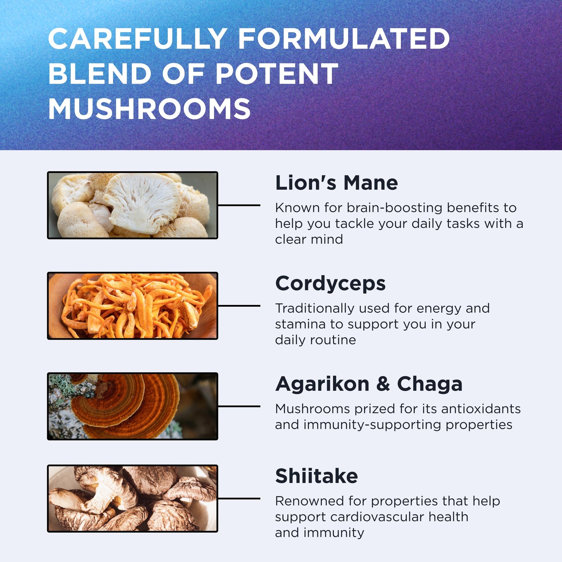 DR. EMIL NUTRITION 10 Mushroom Supplement for Mental Clarity, Focus & Immune Support - Functional Mushroom Nootropic Supplement with Lions Mane Extract, Cordyceps, Turkey Tail & More DR. EMIL NUTRITIONBuy Supplements Australia