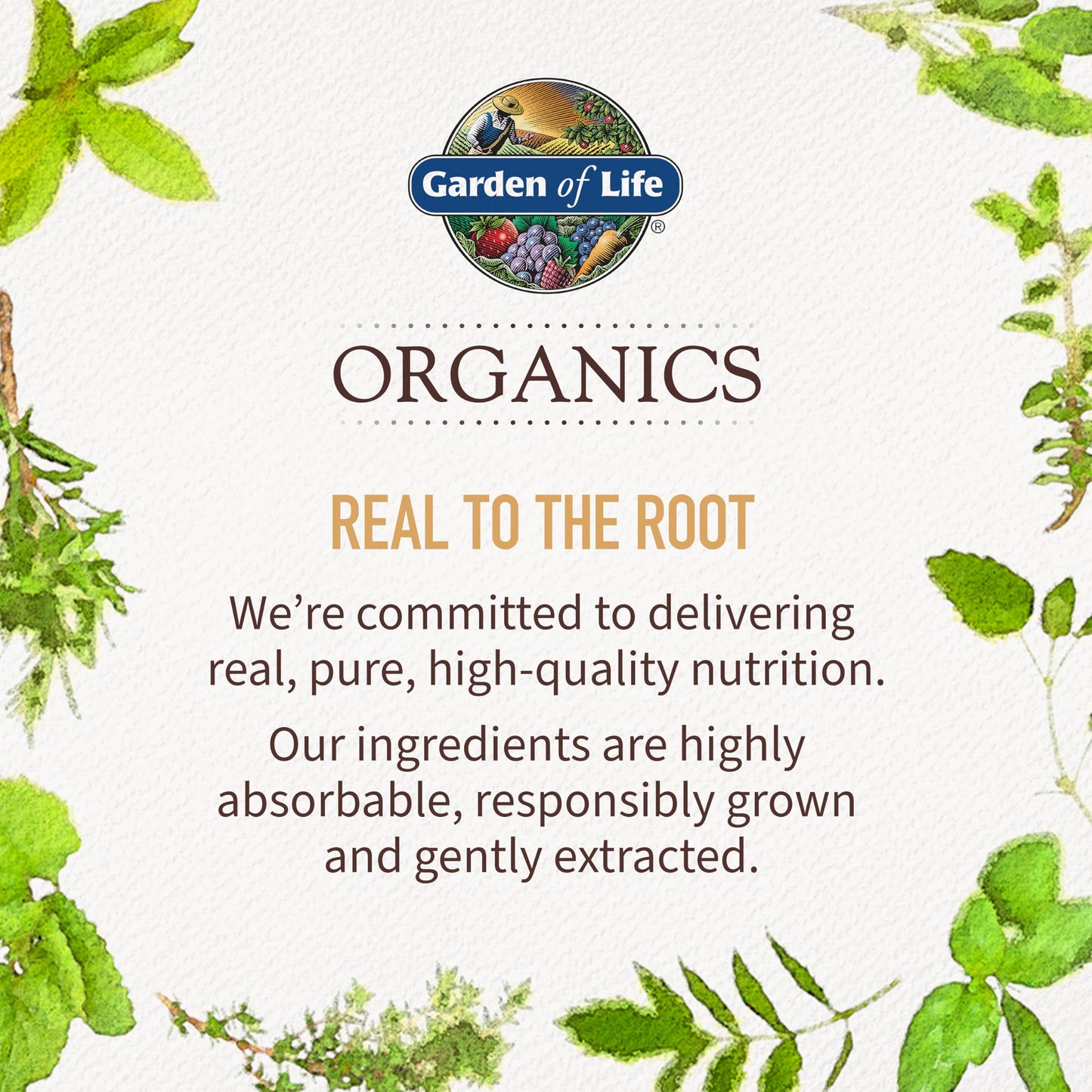 Garden of Life Organics Whole Food Multivitamin for Men, 60 Tablets, Vegan Mens Vitamins and Minerals for Health and Well-Being Garden of LifeBuy Supplements Australia
