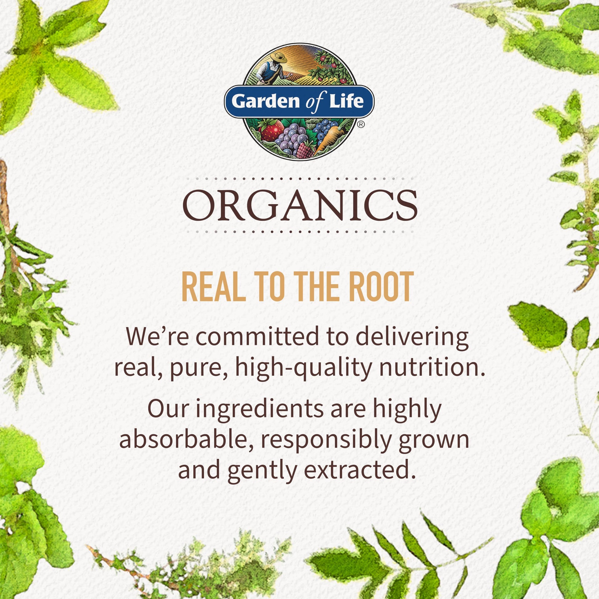 Garden of Life Organics Women 40+ Gummy Vitamins - Berry - Certified Organic, Non-GMO, Vegan, Kosher Complete Multi - Methyl B12, C & D3 Garden of LifeBuy Supplements Australia