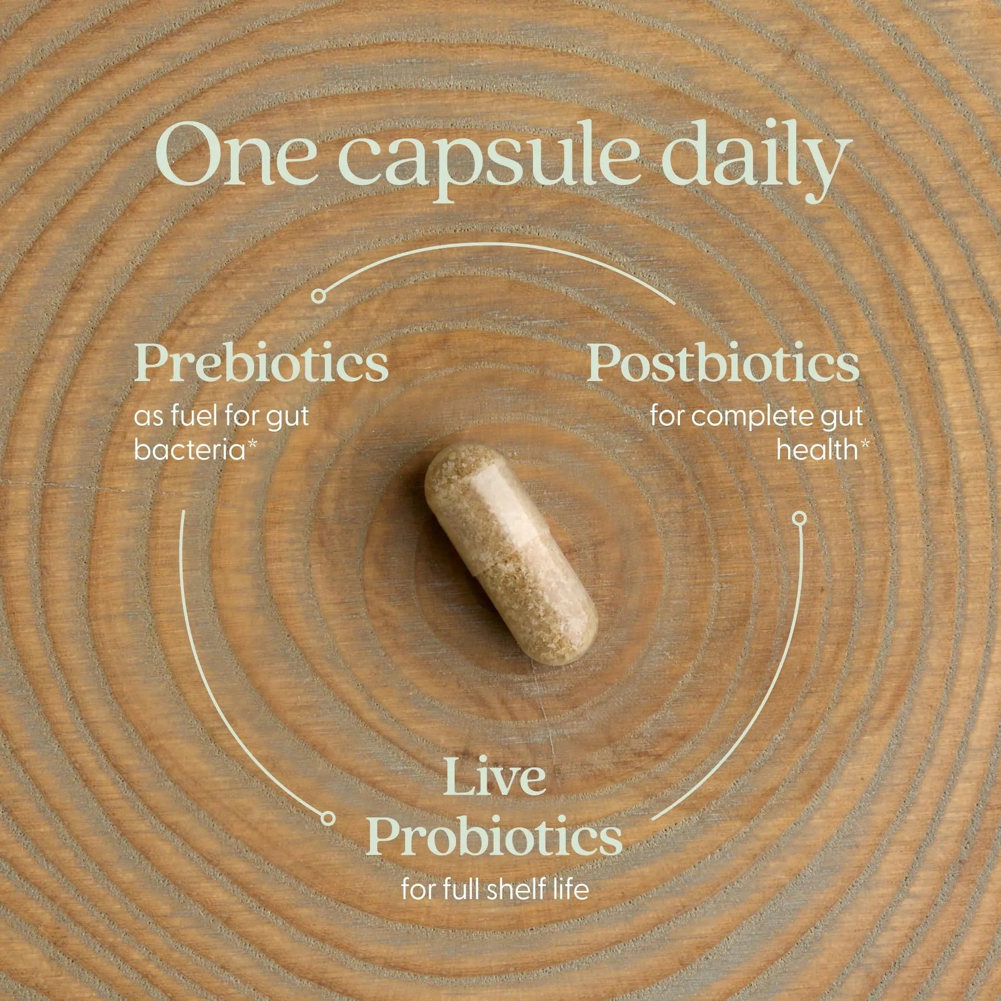 New Chapter All-Flora Probiotic for Advanced Digestion & Complete Gut Health with Prebiotics + Postbiotics, Clinical-Strength Strains, 100% Vegetarian, Non-GMO, Shelf Stable - 60 ct (2 Month Supply) New ChapterBuy Supplements Australia