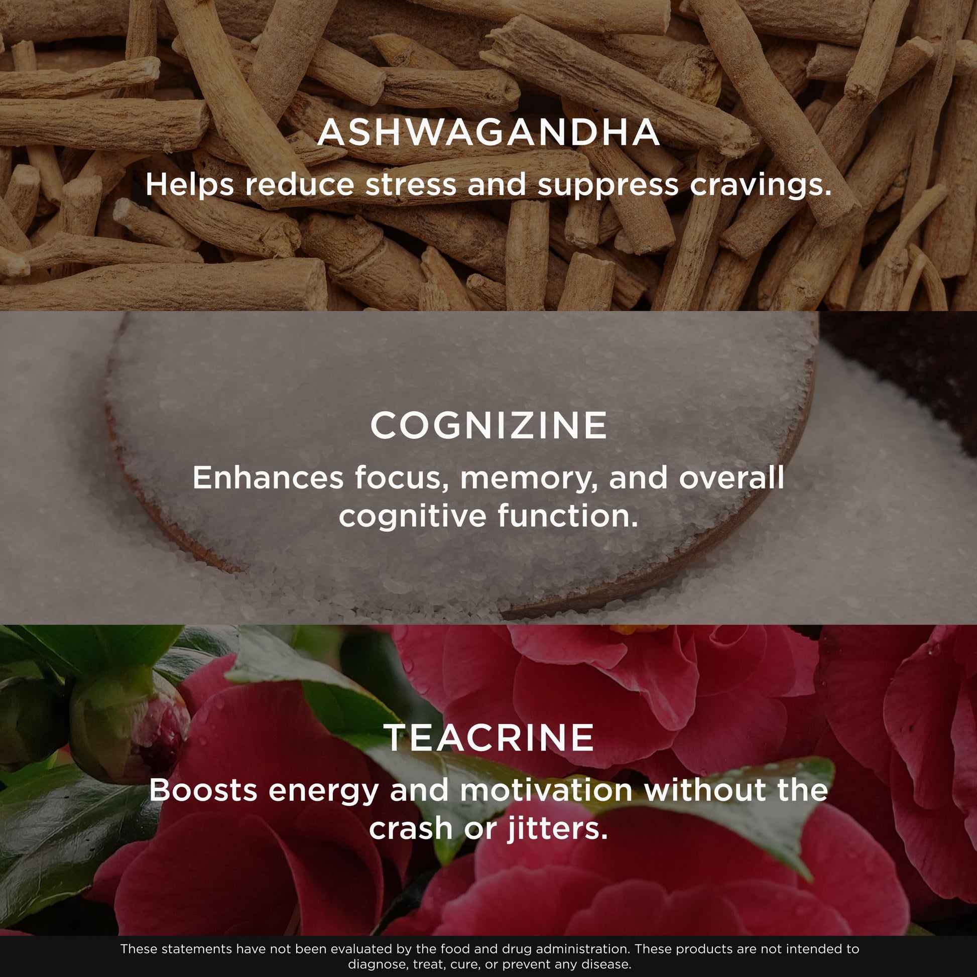 Genius Thermogenic Fat Burner, 60 Diet Veggie Pills - Weight Loss & Metabolism Supplement, Appetite Suppressant & Energy Booster - Caffeine-Free Nootropic Focus & Brain Boost - Ashwagandha & TeaCrine The Genius BrandBuy Supplements Australia