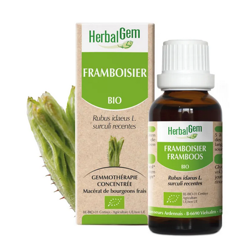 Framboisier BIO Macérat mère Bourgeons Flacon 30 ml HERBALGEM