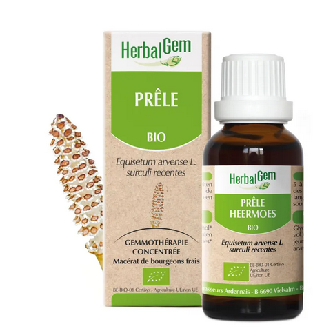 Macérat mère de Prêle BIO 30 ml HERBALGEM