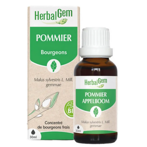 Pommier BIO Macérat mère bourgeons Flacon 30 ml HERBALGEM
