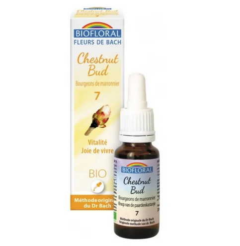 Fleur de Bach BIO Chestnut Bud (Bourgeons maronnier) Flacon 20 ml BIOFLORAL